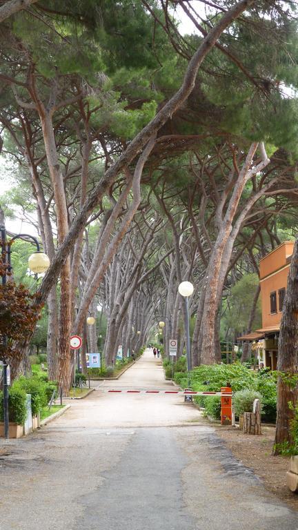 Hotel Leopoldo Castiglioncello Kültér fotó